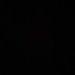 Meet your Posher, Ileni